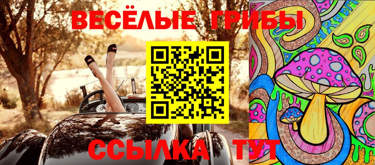 Междуреченск  Галлюциногенные грибы Magic Shrooms  Вход с VPN 