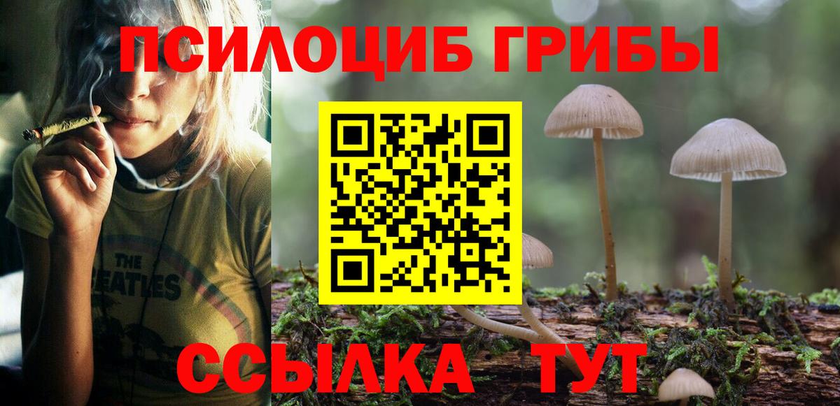 Галлюциногенные грибы мухоморы Междуреченск